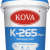 mockup 5gal K 265 Plus 16L 2024